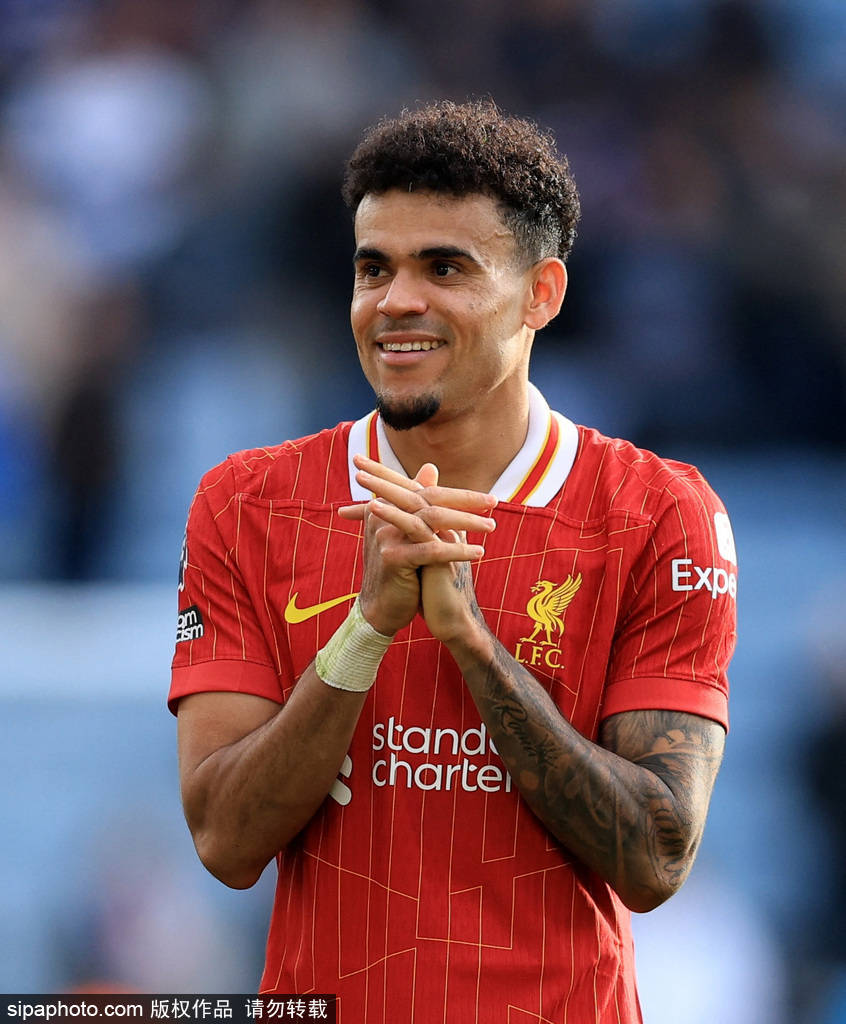 学会了如何 学会了如何